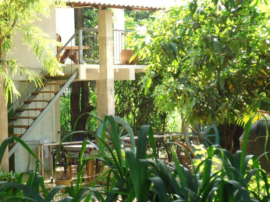 Casa Dambulla Boutique Villa Exteriör bild